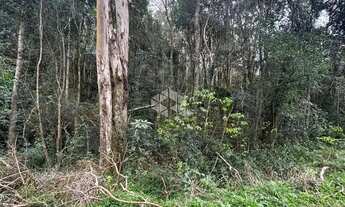 Imagem 5: AREA DE TERRAS EM FLORES DA CUNHA PARA EXPLORAÇÃO TURISMO