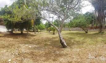 Imagem 4: Terreno à venda, 3123 m² por R$ 1.800.000,00 - Turu - São Luís/MA