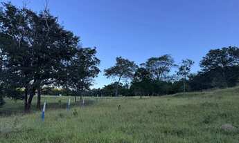 Imagem 3: Sítio em Itapuranga