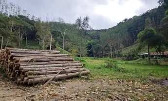 Imagem 7: Venda Fazenda 144 Hectares Taubaté