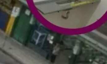 Imagem: República no Eldorado Próx João César