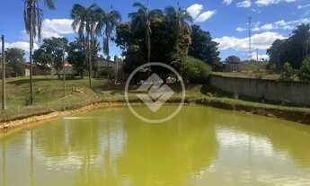 Imagem 4: Chácara em São Miguel do Passa Quatro - GO codigo: 155279