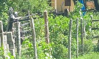 Imagem 7: FAZENDA RURAL em SANTO AMARO - BA, Zona Rural