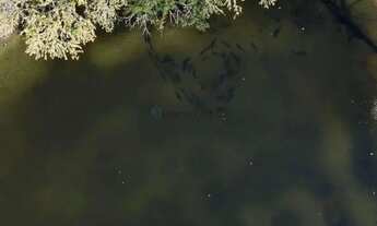 Imagem 4: VENDO!!! Uma chácara na estrada sentido Chapada dos Guimarães MT