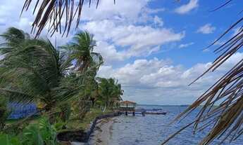 Imagem 2: LOTE / ILHA DE TIMBUCA-BA