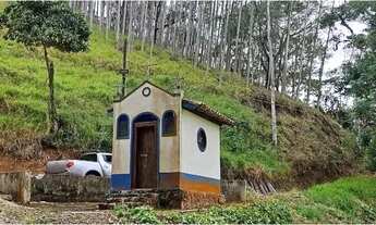 Imagem 5: Venda Fazenda 144 Hectares Taubaté