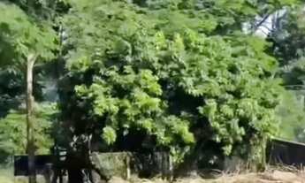 Imagem 6: Venda de terreno 240 mil