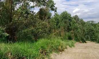 Imagem 2: Lotes Exclusivos de 1.000 m² no Interior Paulista