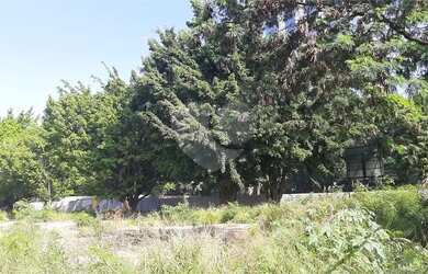 Imagem 5: Terreno à venda em Parque Residencial Da Lapa - SP