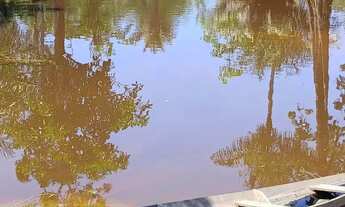 Imagem 4: Imóvel para venda possui 800000 metros quadrados em a - Careiro - AM