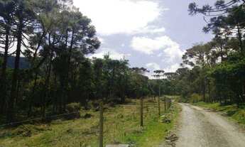 Imagem: Urubici SC/ Terreno com vista espetacular