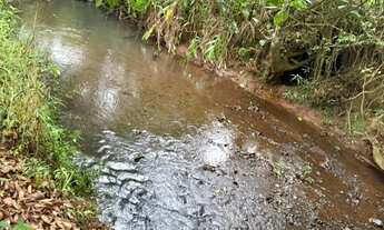 Imagem 7: Terreno rural com muita água