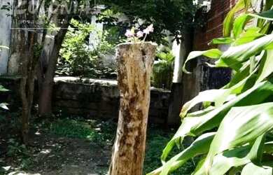 Imagem 7: Terreno a venda - Vila Eldízia, Santo André