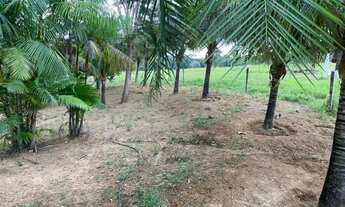 Imagem 5: Chácara com 19.3600 m² ( 04 alqueires) - Chácara Boa Vista - Goiânia/GO