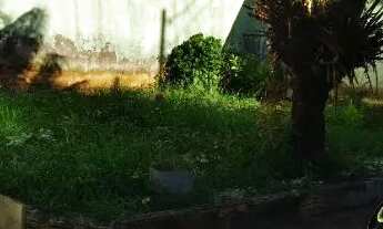 Imagem 7: OPORTUNIDADE. Terreno 10x25 com 2 casas prontas, quintal enorme, doc. em dia