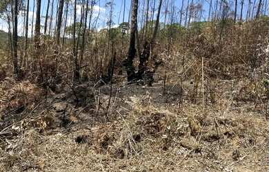 Imagem 7: Terreno de 500m² à Venda em Ibiúna com Preço Promocional