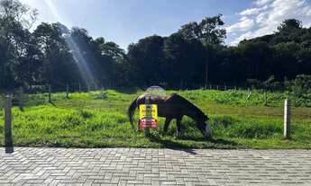 Imagem 2: Vendas Terreno Almirante Tamandaré PR