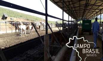 Imagem 7: Oportunidade Rural! Fazenda de 106 alqueires a poucos minutos do Centro de São José!