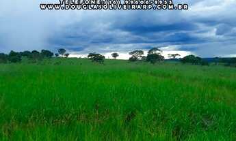 Imagem: Fazenda 30 Alqueirão ou 145 há Em Gurinhatã