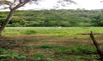 Imagem 7: Fazenda de 28 hectares com casa antiga lagoa, córrego, Baldim(Temos varias opções)
