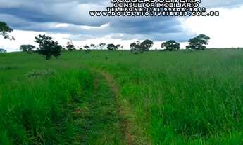 Imagem 6: Fazenda 30 Alqueirão ou [ 145 há] Em Gurinhatã -MG