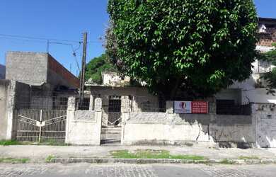 Imagem 3: Excelente terreno