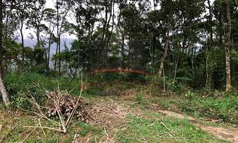 Imagem 6: Sítio para venda Santa Maria Antônio Carlos - 334