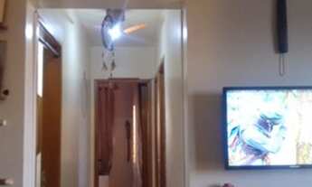 Imagem 3: QR 108 Conjunto 7 Samambaia Sul - Brasília - DF