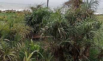 Imagem 6: EXCELENTE AREA DE FRENTE A ORLA DA PRAIA