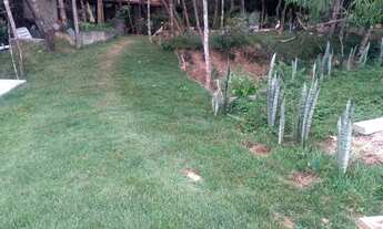 Imagem 3: Chácara para venda tem 80000 metros quadrados - Silvânia - Goiás