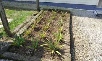 Imagem 6: Sítio Santo Amaro da Imperatriz