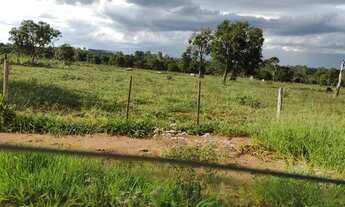 Imagem 4: Chácara de 12,5 hectares. Com Córrego