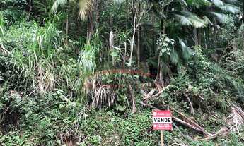 Imagem 2: Sítio para venda Santa Maria Antônio Carlos - 334