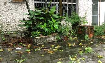 Imagem 7: Sobrado amplo, excelente localização