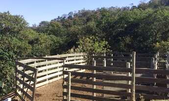 Imagem 6: Sítio no Almeidas em Amparo