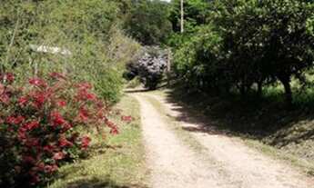 Imagem 5: Sítio na cidade de Feliz / Localidade de Bela Vista Sobra