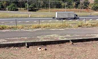 Imagem 5: Área Industrial para Venda em Ribeirão Preto, Jardim Jóquei Clube