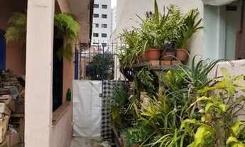 Imagem 3: CASA TÉRREA - ALTO DE PINHEIROS - SP