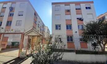 Imagem: Apartamento no Bairro Protásio Alves com