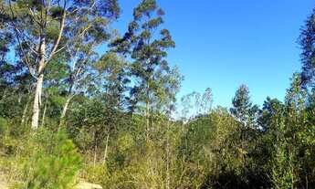Imagem 3: ANITÁPOLIS/SC - Lindo terreno com 5.9hectares