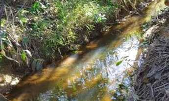 Imagem 2: CHACARA 5 MIL M² em Aracruz