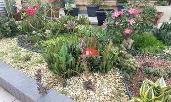 Imagem 3: Casa Linear na Artur Rios