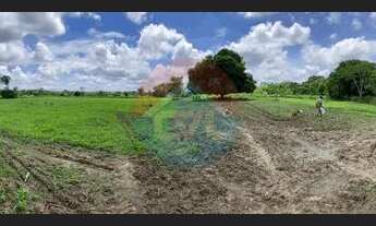 Imagem 3: ÓTIMA FAZENDA. codigo: 29284