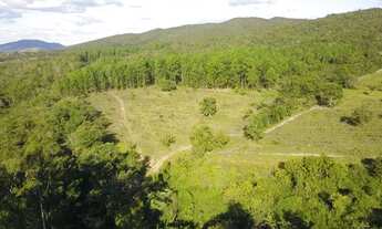 Imagem 7: Oportunidade! Fazenda De Eucalipto Ou Gado A Venda em Pirenópolis - Go
