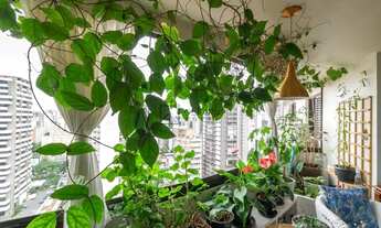 Imagem 5: Apartamento Venda Moema 128 m² 3 Dormitórios