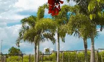 Imagem 7: Chácara em Goainira