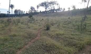 Imagem 5: CHACARA DE 5.000 M2 IGARAPÉ PRÓXIMO A SADA