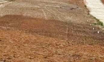 Imagem 3: Terreno em Vitória de Santo Antão