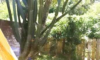 Imagem 6: Casa aconchegante perto da praia e natureza