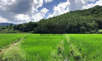 Imagem 5: Sítio 3 Quartos Rio dos Cedros - SC - Consulte